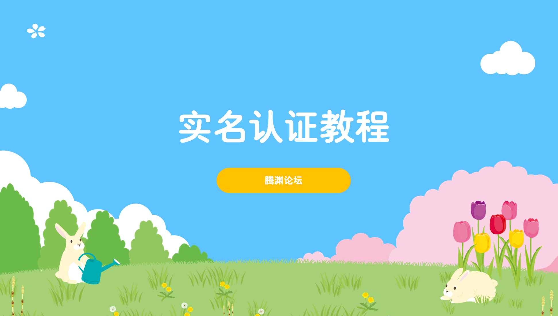 关于实名认证-腾渊科技论坛