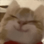 老邓-腾渊科技论坛-第5页